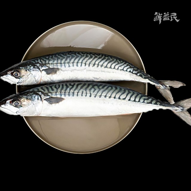 青花鱼 鲭鱼 鲐鱼 花仙鱼 深海鱼 预防血管硬化 美容养颜